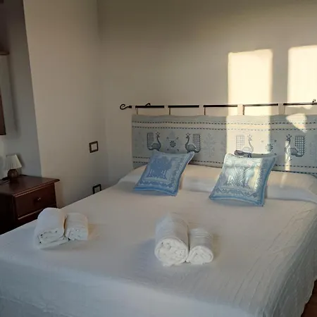 Domo Gallus Zola Homestay *