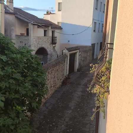Domo Gallus Zola Homestay *